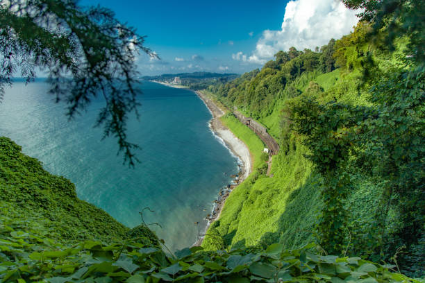 opinião cénico bonita do verão do jardim botânico do mar - ajaria - fotografias e filmes do acervo