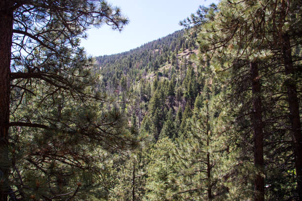istock Helen hunt's falls Colorado waterfalls flowing stream 1172403518