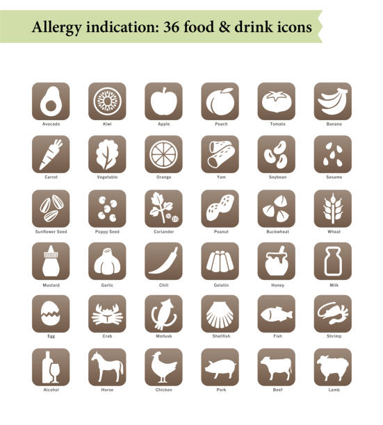 36 음식 알레르겐, 레스토랑 메뉴 아이콘 - peanut allergy food fruit stock illustrations