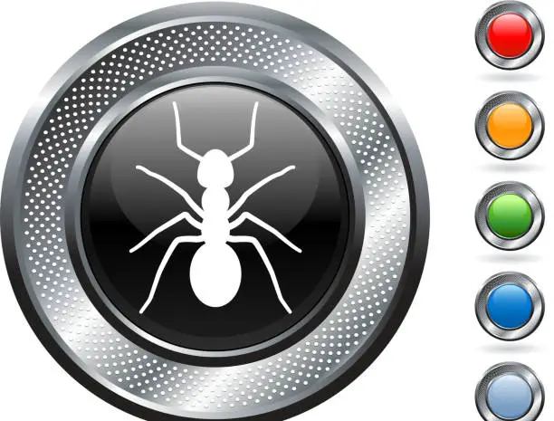 Vector illustration of ant royalty free vector art on metallic button