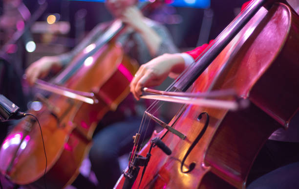 violonchelo - orquesta sinfónica fotografías e imágenes de stock