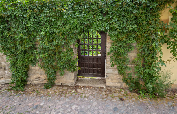 istock Katharina Lane in Tallinn 1172405374