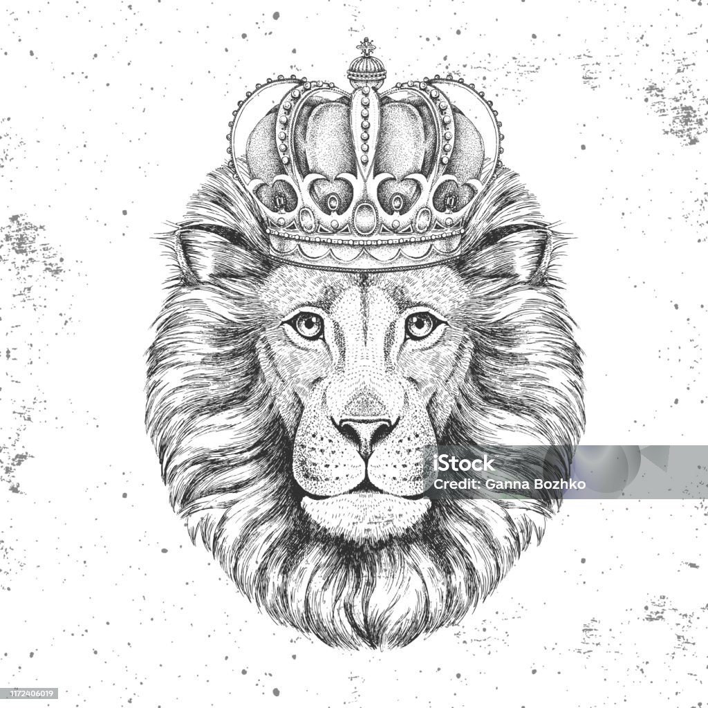 Hipster Animal Lion In Crown Hand Drawing Muzzle Of Lion Stock Illustration - Download Image Now - iStock Hipster Animal Lion In Crown Hand Drawing Muzzle Of Lion Stock Illustration - Download Image Now - iStock
