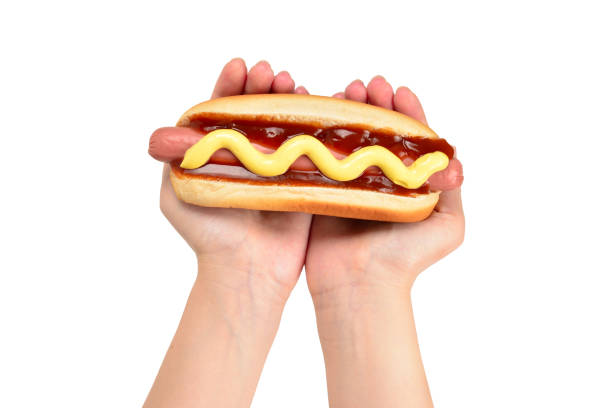 Hot dog in woman hand isolated on white background. Copy space.