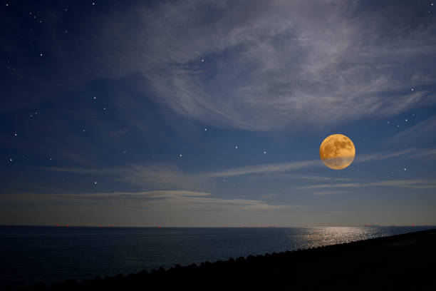 Full moon rising over the Tokyo bay area with copy space.