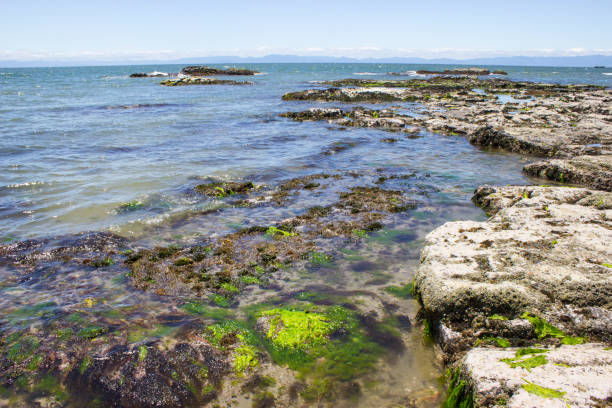 istock Noma coast in Chita-gun, Aichi. 1172411361