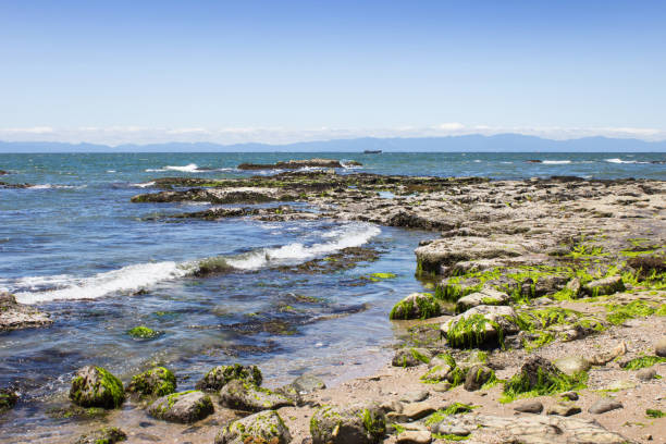 Noma coast in Chita-gun, Aichi.