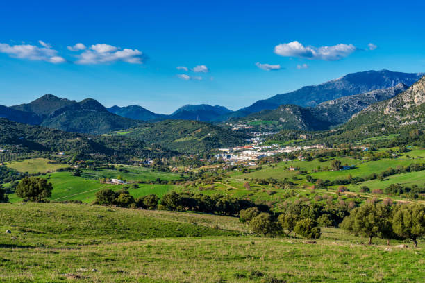 ubrique, cadiz. spain. white villages of andalusia in the park of alcornocales - ubrique imagens e fotografias de stock