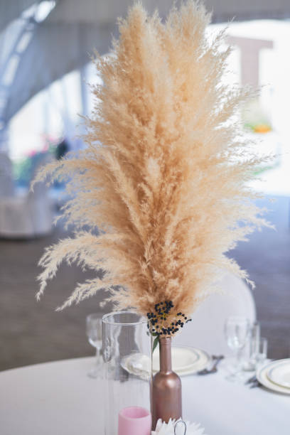 istock Wedding decoration in boho style.Light colors, in the tent. Wedding table decorated with a vase of pampas grass. Boho style 1172421267