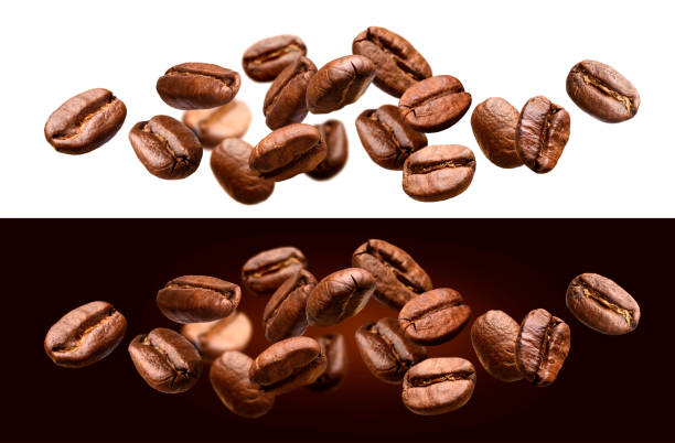 fallende kaffeebohnen isoliert auf weißem und schwarzem hintergrund - falling beans stock-fotos und bilder