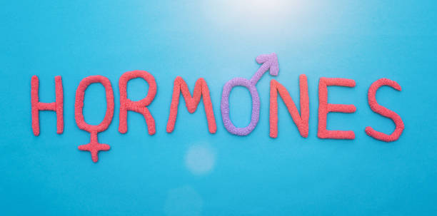 The word hormones from red plasticine on a blue background concept of all human hormones, inscription The word hormones from red plasticine on a blue background concept of all human hormones oestrogen stock pictures, royalty-free photos & images