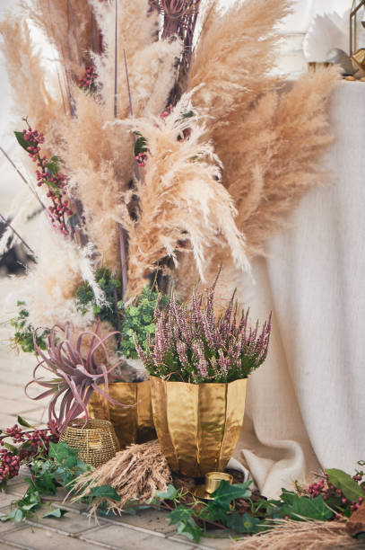 Wedding decoration in boho style.Light colors, in the tent.Wedding table decorated with pampas grass. Roses and gold geometric candlesticks Wedding decoration in boho style. Light colors, in the tent.Wedding table decorated with pampas grass. Roses and gold geometric candlesticks. pampas photos stock pictures, royalty-free photos & images