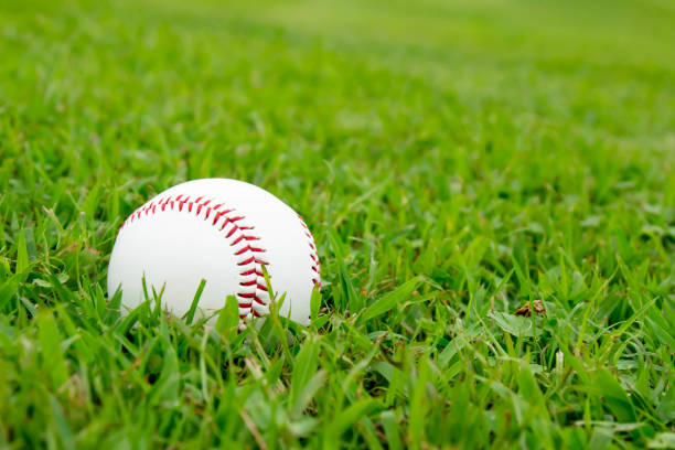 istock Baseball field and hardball 1172423364