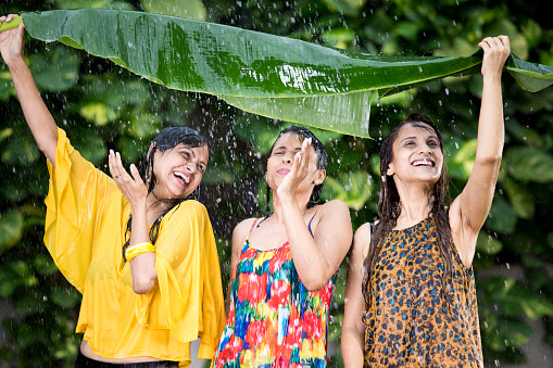 Three drenched women holding banana leaf over head enjoying rain day