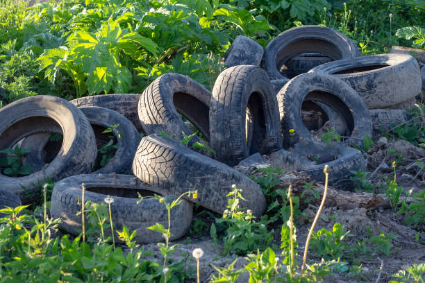 istock Many different old black dirty used car tires as an illegal abandoned trash dump in remote green area. Environmental pollution problem. 1172424348
