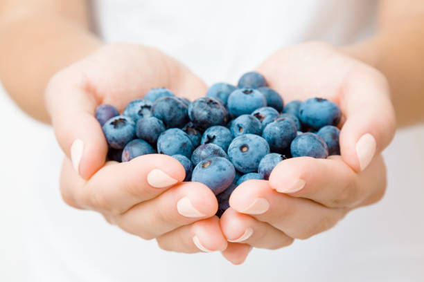 istock Young woman hands holding blueberries. Closeup. 1172425023