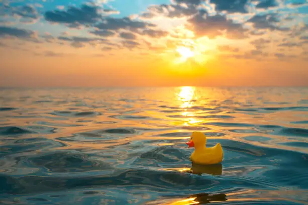 Photo of Yellow rubber duck toy floating in sea water. Beautiful sunrise on the beach