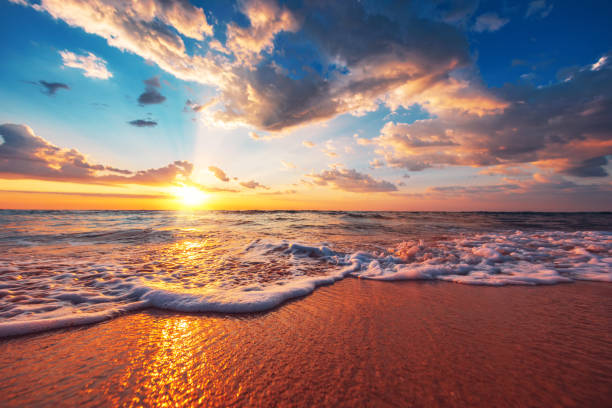 istock Beautiful sunrise over the tropical sea 1172427353