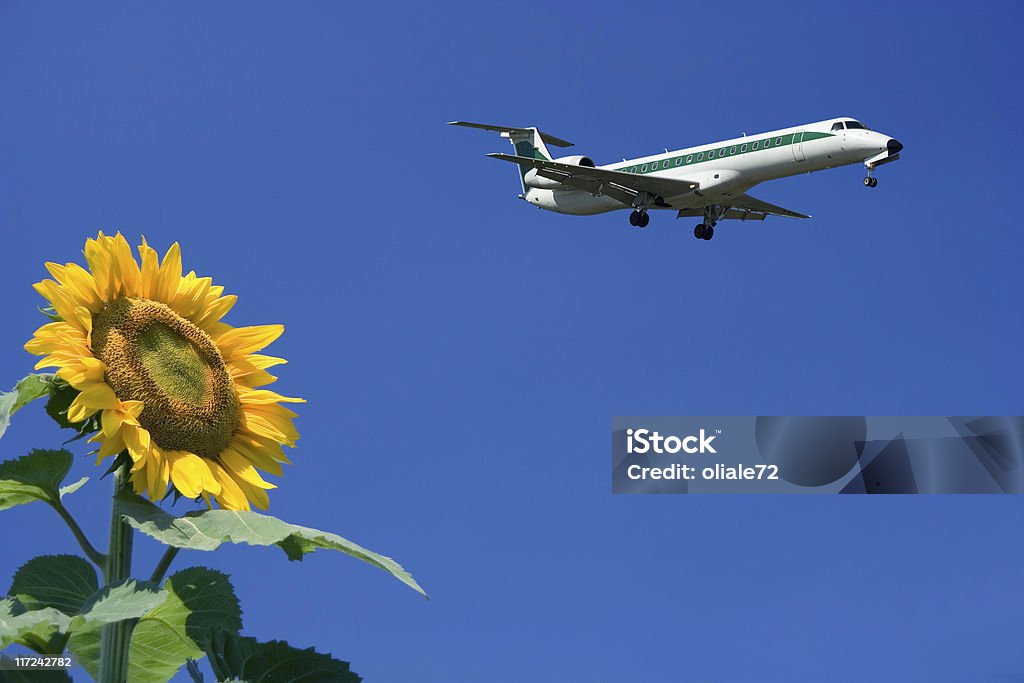 Samoloty lecące w błękitne niebo, widok z boku Słonecznik - Zbiór zdjęć royalty-free (2000-2009)