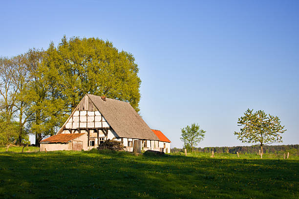 vieille ferme dans le paysage verdoyant - ibbenbüren photos et images de collection