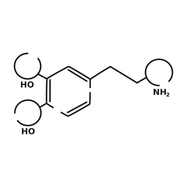 도파민 벡터 블랙 리니어 플랫 스타일 아이콘 - amino acid molecule chemical histamine stock illustrations