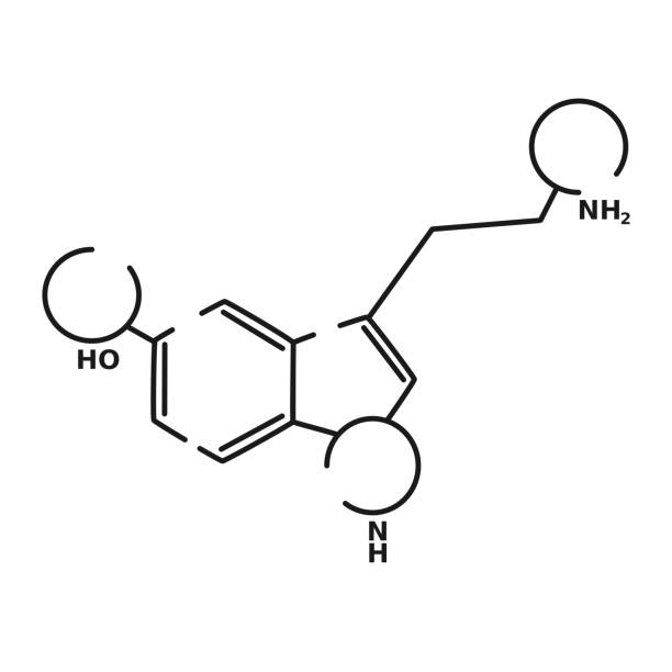 세로토�닌 벡터 블랙 선형 플랫 스타일 아이콘 - amino acid molecule chemical histamine stock illustrations