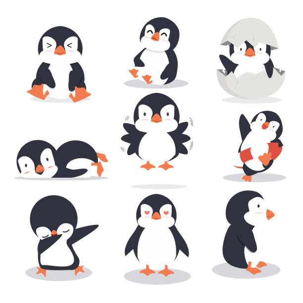 Cute Little Penguin Different Poses Set Stock Illustration