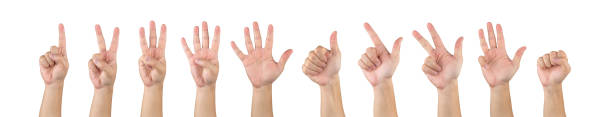 istock Asian male hands counting one ten isolate white background in studio light - with clipping path. 1172437821