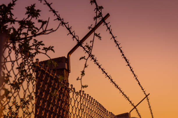 barbed wire in the sunset barbed wire in the orange sunset barbed wire photos stock pictures, royalty-free photos & images