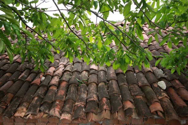 istock old brick tiles on the roof 1172442327