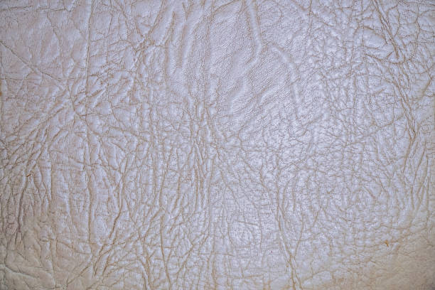 istock Old white skin texture with folds on surface 1172443875