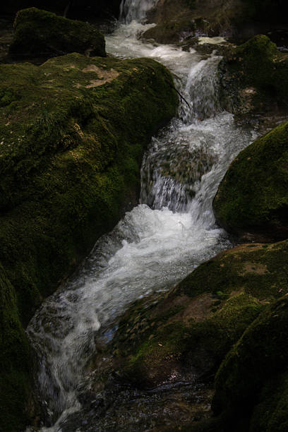 istock Waterfalls and Slopes. Myra Falls ,in the Muggendorf in Lower Austria 1172449718