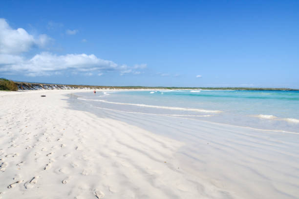 weißer sandstrand in tortuga bay, puerto ayora, san cristobal, galapagos-inseln, ecuador, südamerika. - bay stock-fotos und bilder