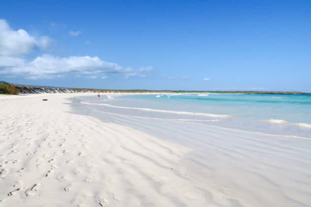 piaszczysta plaża w zatoce tortuga, puerto ayora, san cristobal, wyspy galapagos, ekwador, ameryka południowa. - bay zdjęcia i obrazy z banku zdjęć