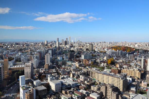 istock Tokyo city 1172450816