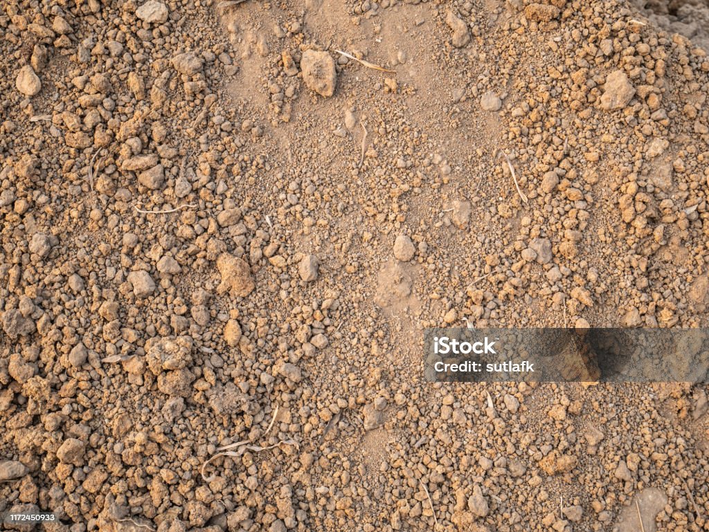 Màu Nâu Đất Từ Khu Vườn Nền Kết Cấu Đất Hình ảnh Sẵn có - Tải ...