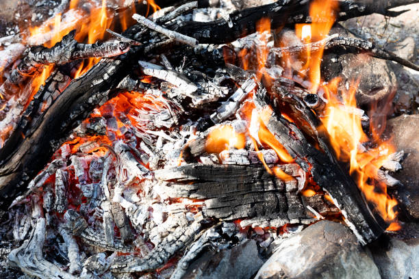 Burning wood close-up, fire