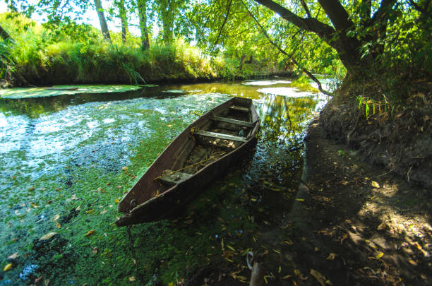 istock Old boat in the quagmire 1172454634