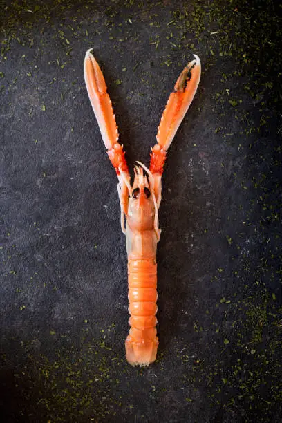 high angle view of a fresh raw Norway lobster, also known as scampi, on a black slate surface sprinkled with herbs