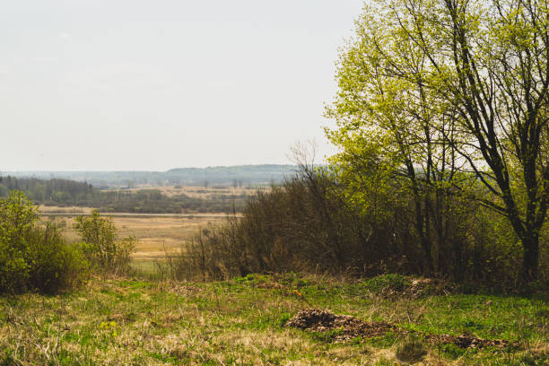 istock Nature panoramic landscape view from high. field with plants and trees nature background 1172456902
