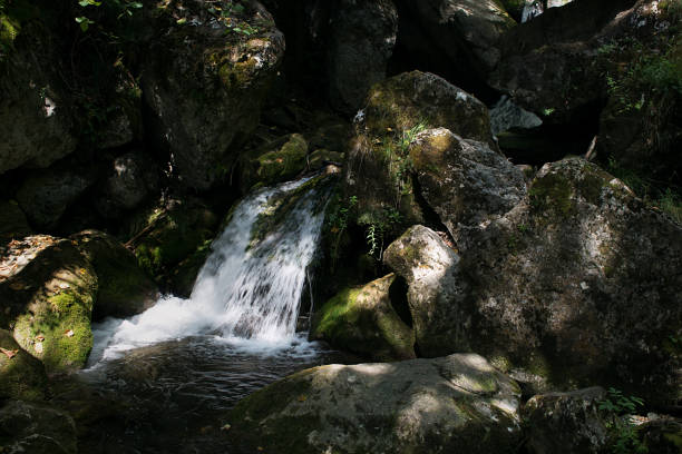 istock Waterfalls and Slopes. Myra Falls ,in the Muggendorf in Lower Austria 1172459196