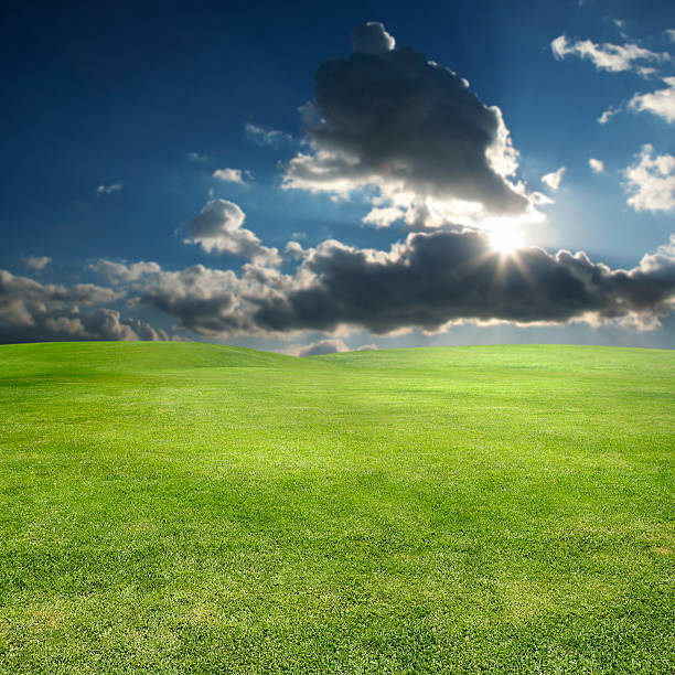 istock shining sun over green landscape 117246180