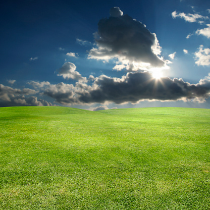 Natural panoramic landscape with spring meadow with curved horizon line. Field bright juicy green grass against a blue sky with clouds and sun flare.