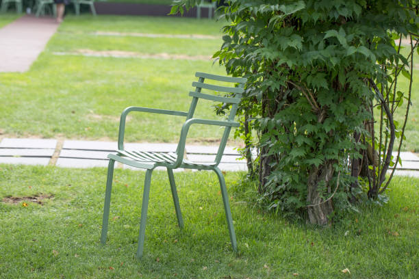 istock Chairs in the green garden 1172464968
