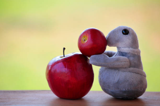 mela peluche sigillo sfondo di legno - bench sitting tree apple foto e immagini stock