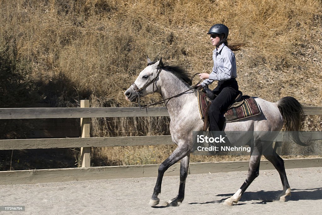 Frau Reiten in arena - Lizenzfrei Araberpferd Stock-Foto