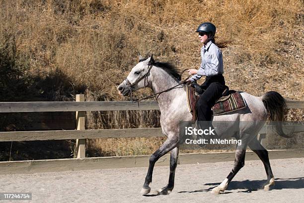 Frau Reiten In Arena Stockfoto und mehr Bilder von Araberpferd - Araberpferd, Eine Person, Einzelnes Tier