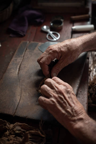 istock Cigar rolling or making by supporter in Cuba, Pinar del Rio province 1172471238