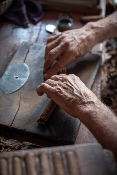 istock Cigar rolling or making by supporter in Cuba, Pinar del Rio province 1172471455