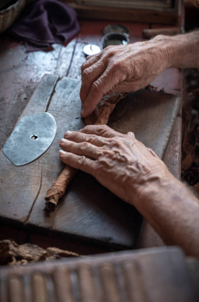 istock Cigar rolling or making by supporter in Cuba, Pinar del Rio province 1172471874